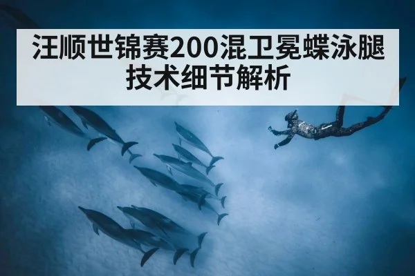 汪顺世锦赛200混卫冕蝶泳腿技术细节解析